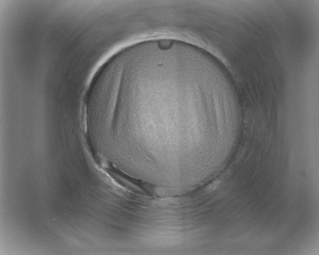 X0000063511510200602101912