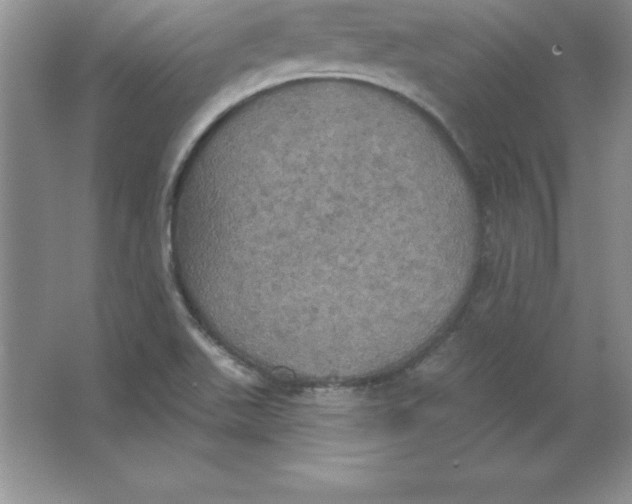 X0000063511511200602101912