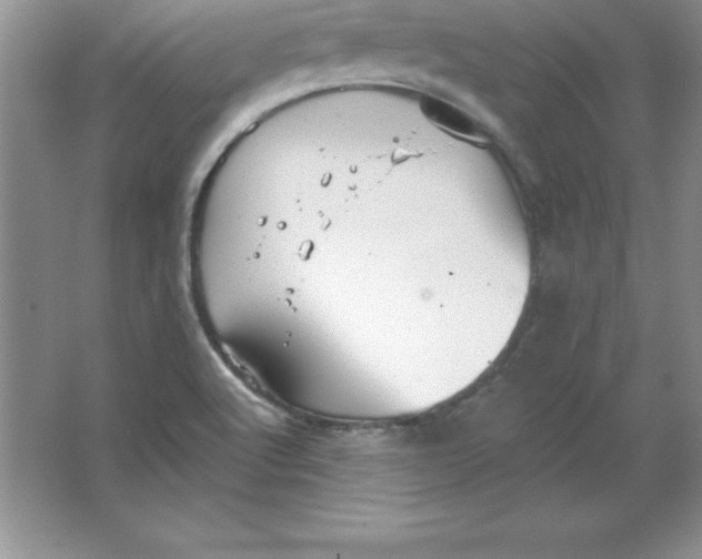 X0000063511512200602101912