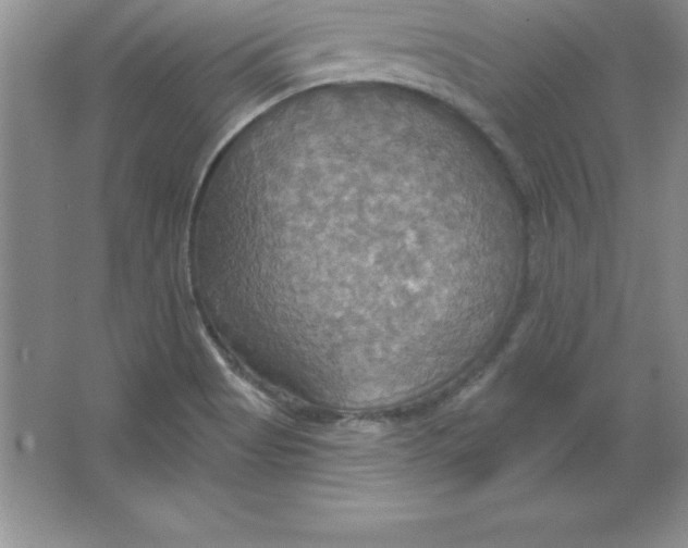 X0000063511513200602101912