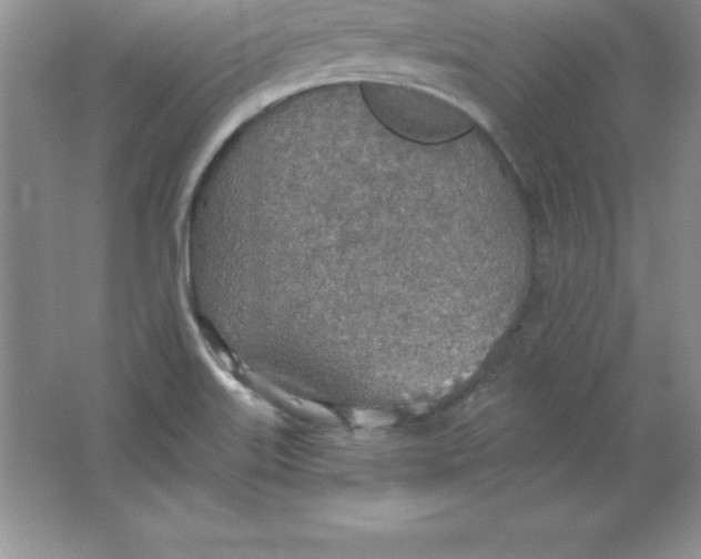 X0000063511515200602101912