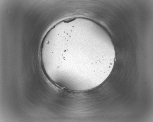 X0000063511516200602101912