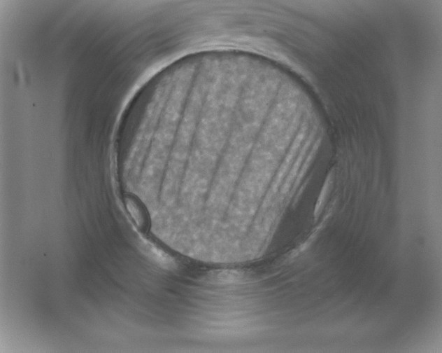 X0000063511517200602101912