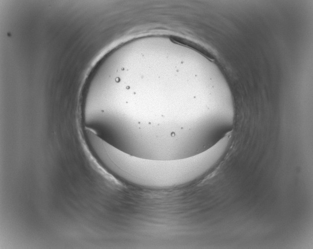 X0000063511518200602101912