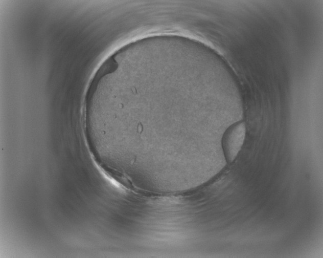 X0000063511519200602101912