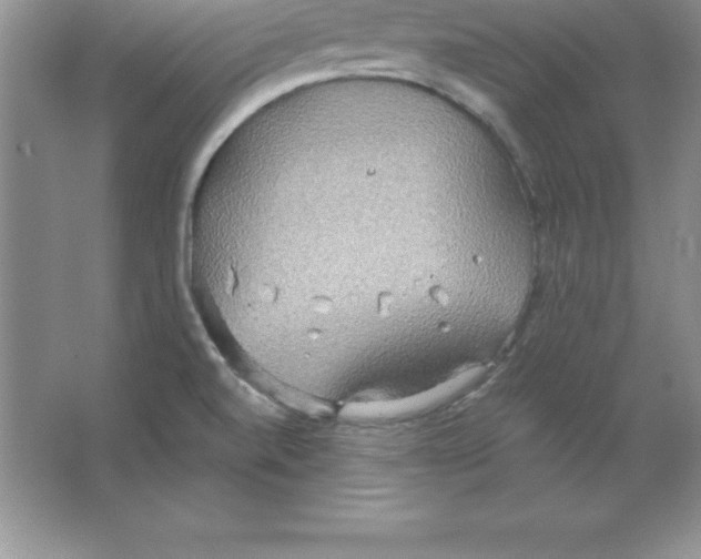 X0000063511520200602101912