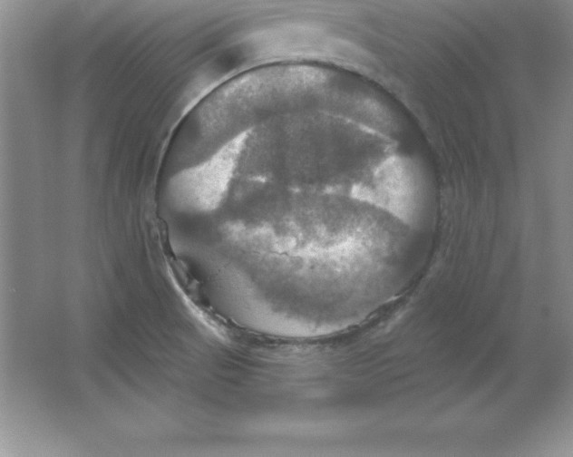 X0000063511521200602101912