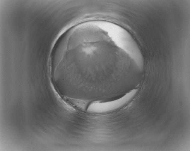 X0000063511522200602101912