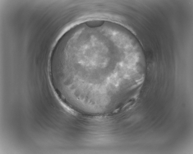 X0000063511523200602101912