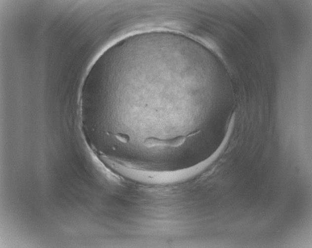 X0000063511524200602101912