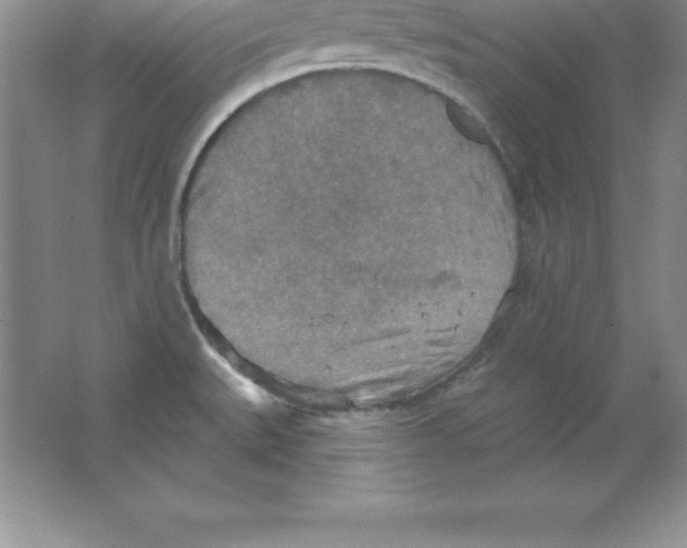 X0000063511527200602101912