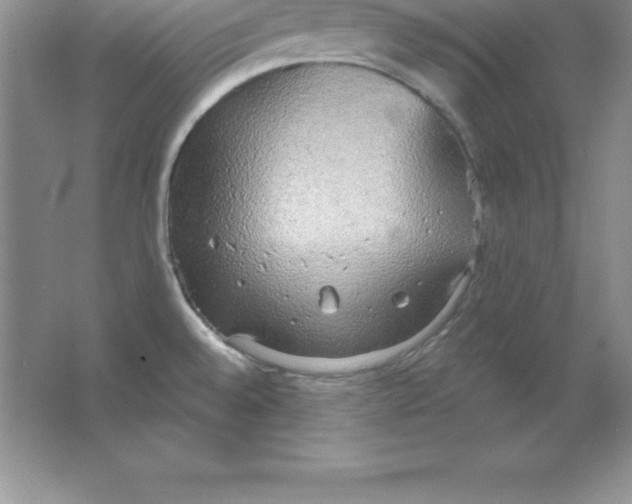 X0000063511528200602101912