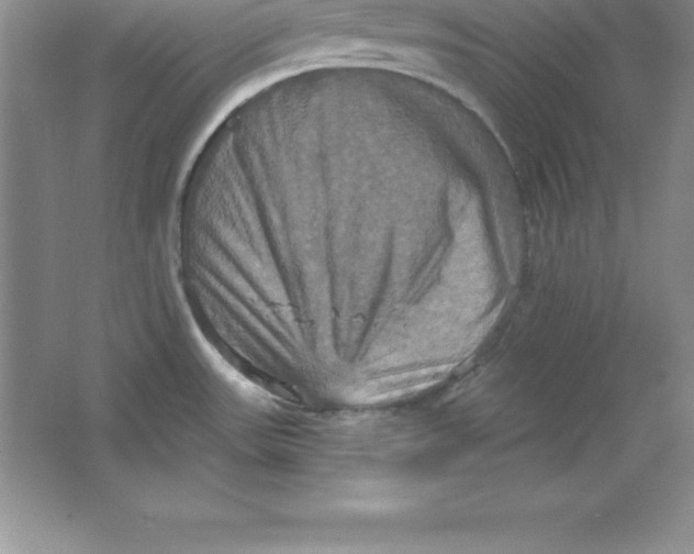 X0000063511531200602101912