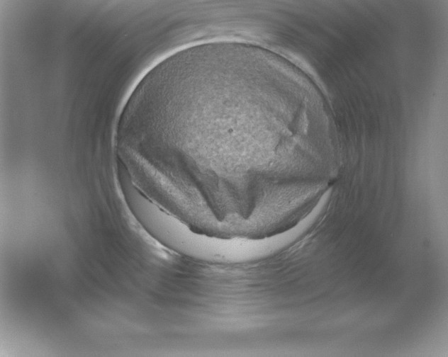 X0000063511532200602101912