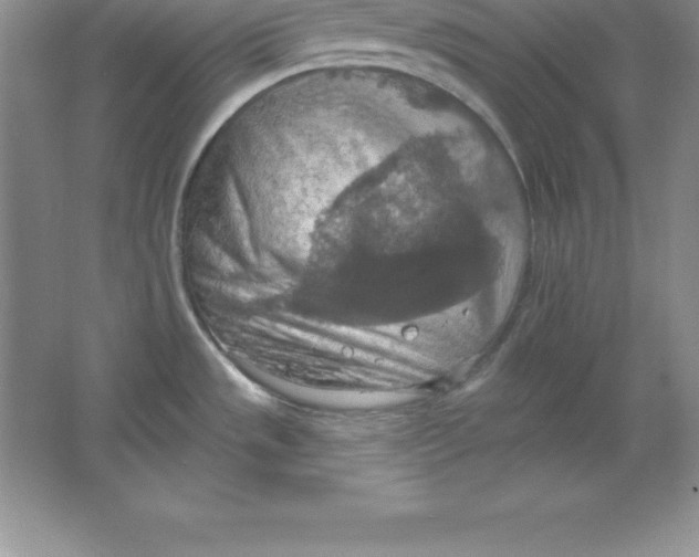 X0000063511533200602101912