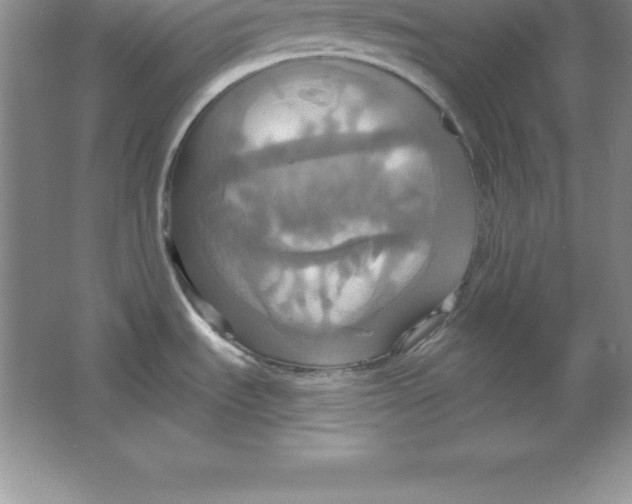 X0000063511535200602101912