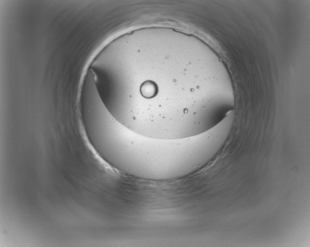 X0000063511536200602101912