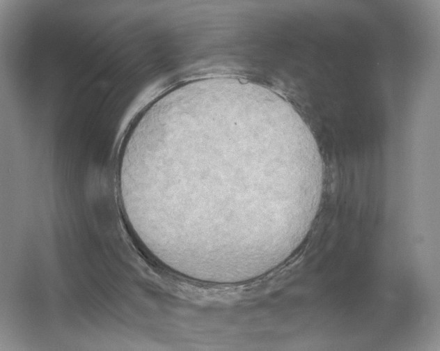 X0000063510004200602172159