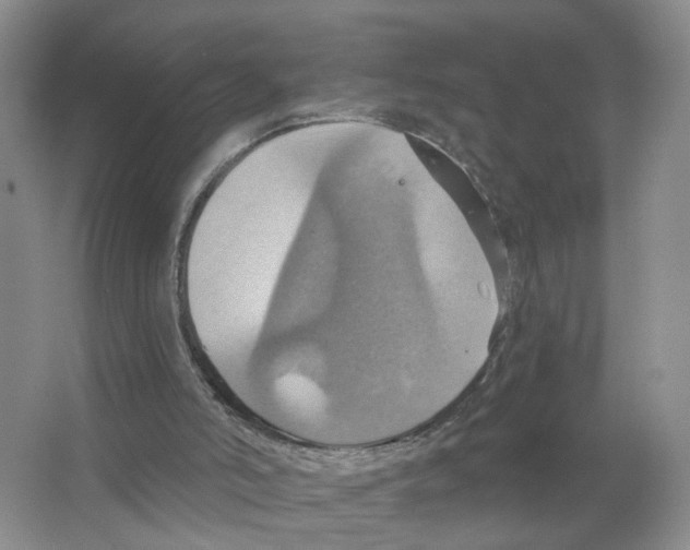 X0000063510006200602172159