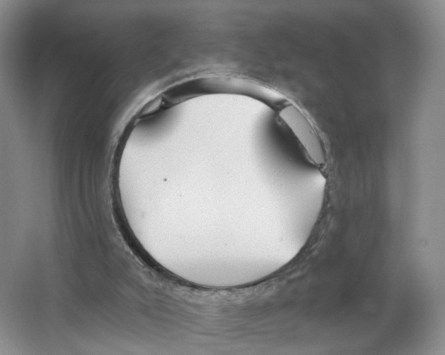 X0000063510007200602172159