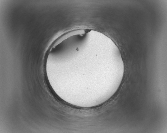 X0000063510008200602172159