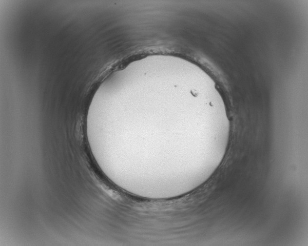 X0000063510009200602172159