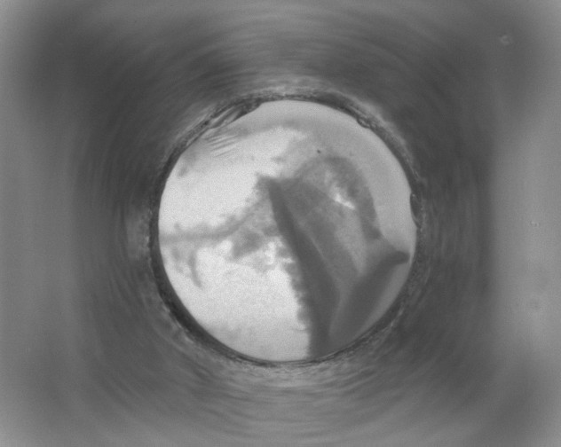 X0000063510010200602172159