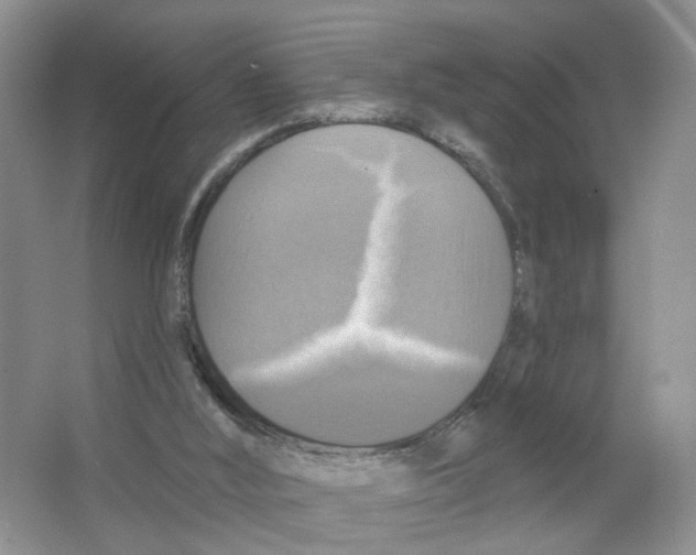 X0000063510012200602172159