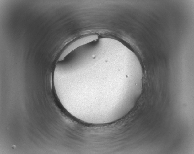 X0000063510013200602172159