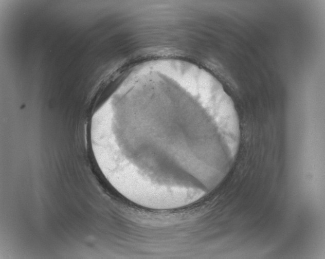 X0000063510014200602172159