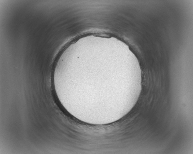 X0000063510015200602172159