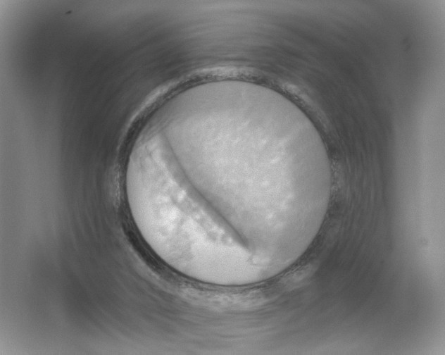 X0000063510016200602172159