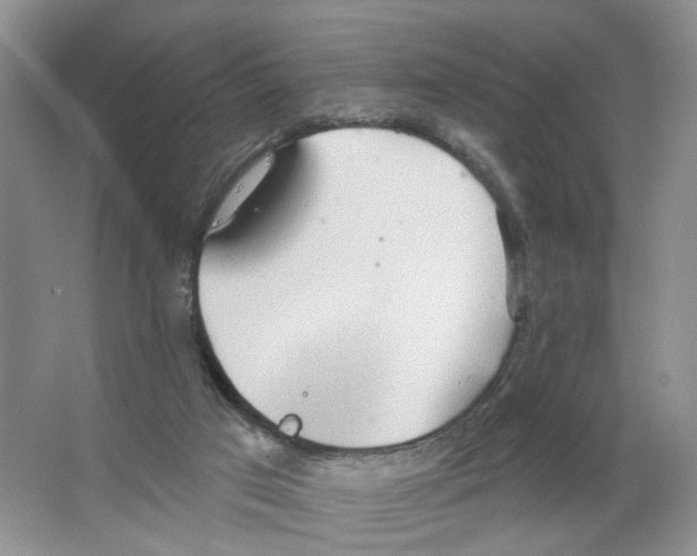 X0000063510017200602172159