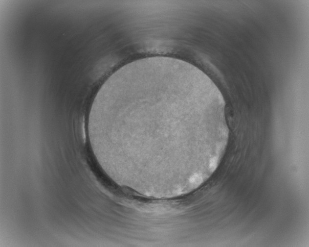 X0000063510020200602172159