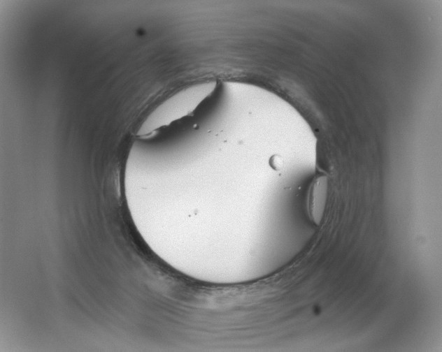 X0000063510021200602172159