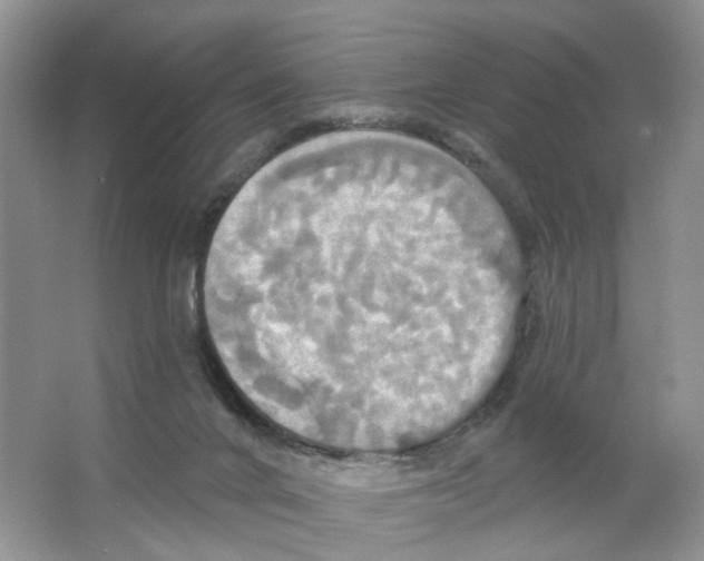 X0000063510024200602172159