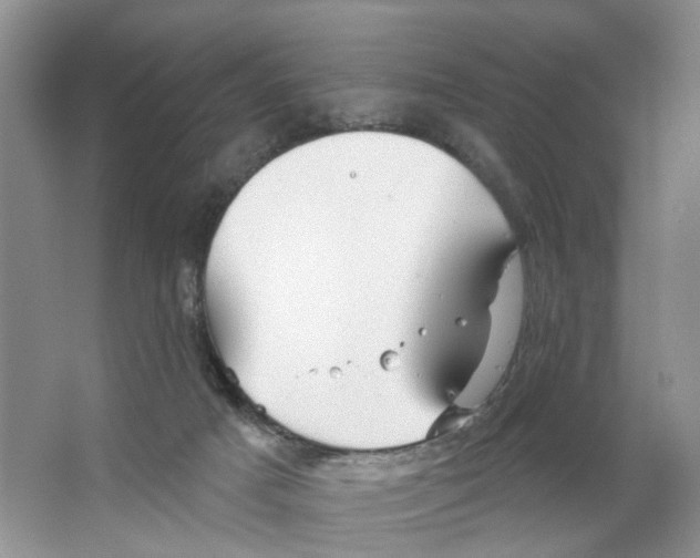 X0000063510025200602172159