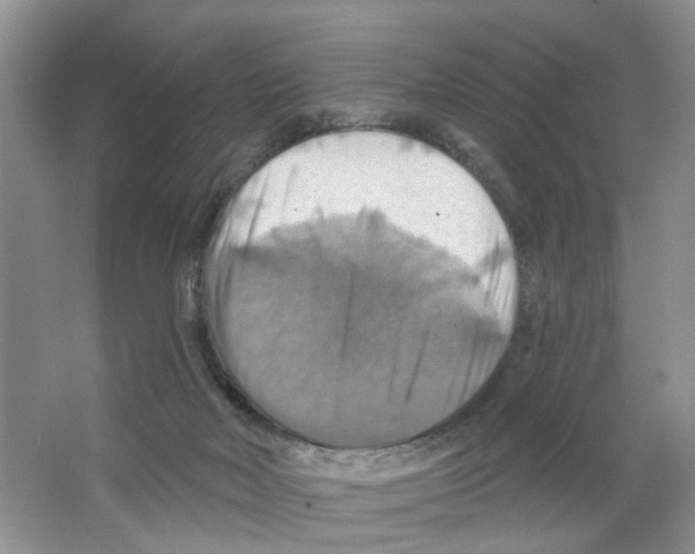 X0000063510026200602172159