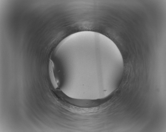 X0000063510027200602172159