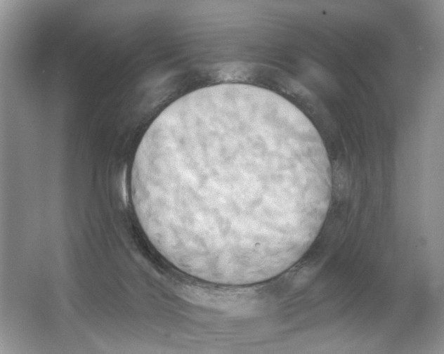 X0000063510028200602172159