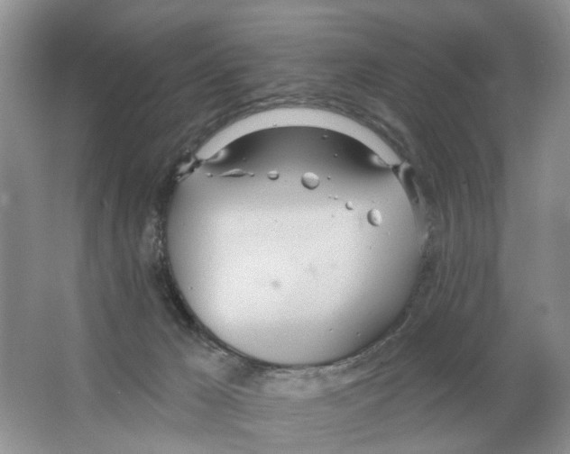 X0000063510029200602172159