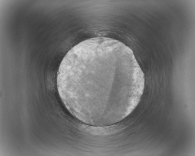 X0000063510030200602172159