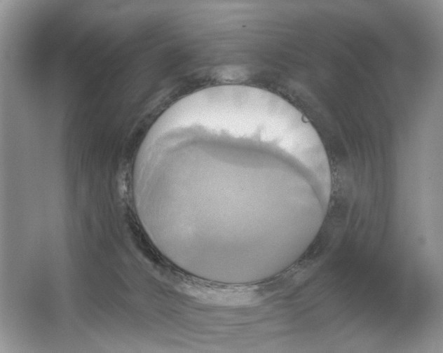 X0000063510032200602172159