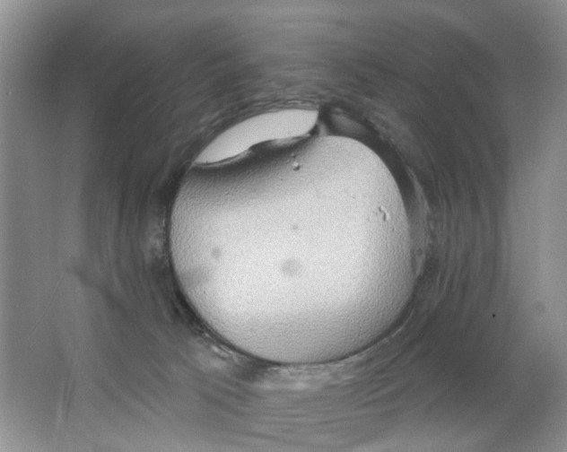 X0000063510033200602172159