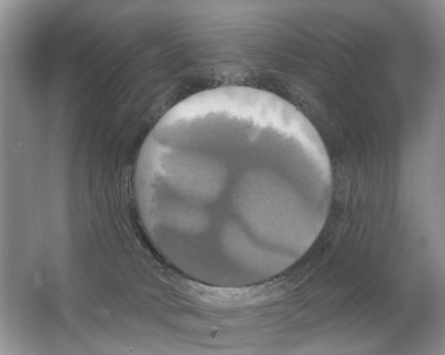 X0000063510034200602172159