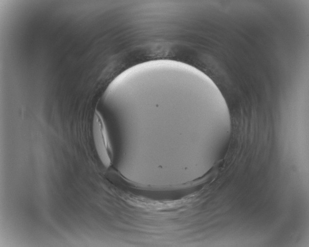 X0000063510035200602172158