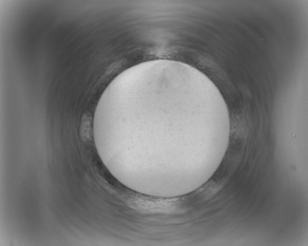 X0000063510036200602172158