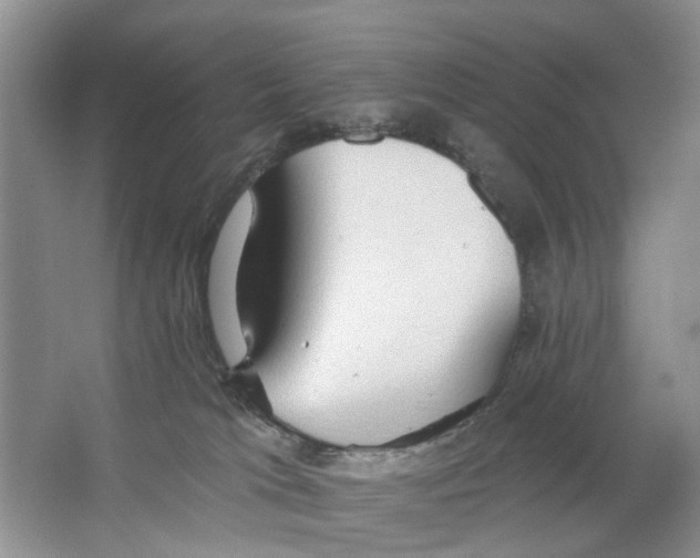 X0000063510037200602172158