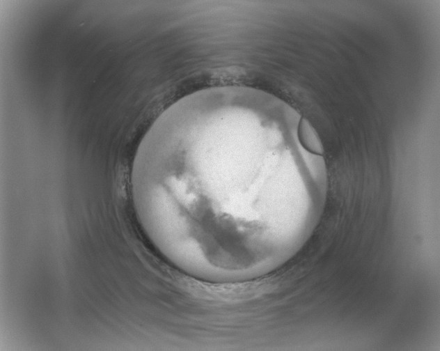 X0000063510038200602172158