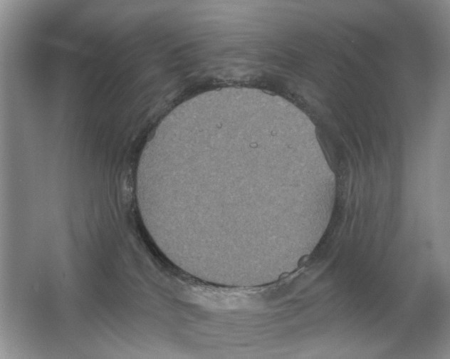 X0000063510040200602172158